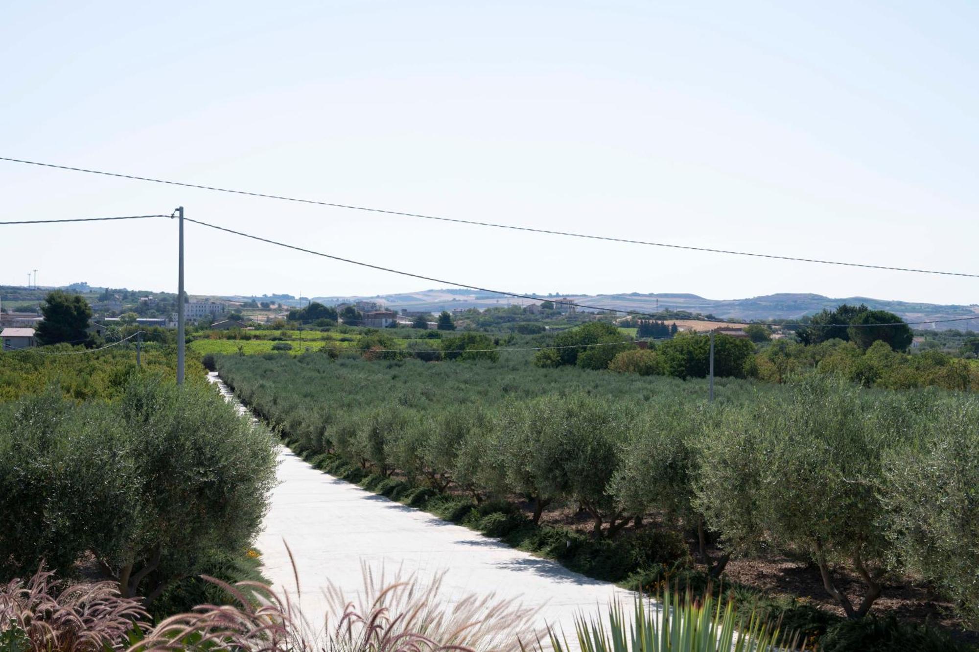 Racalmuto Oikos In Terre Di Zaccanello מראה חיצוני תמונה